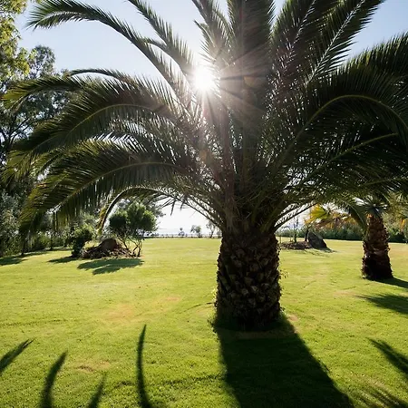 Tiamo Secrets Palm Garden By Travelpro - Vourvourou Halkidiki Villa *